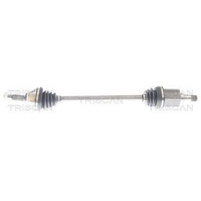 Zylinderkopfdichtung 501-1741 von TRISCAN günstig für 113,65 € online kaufen