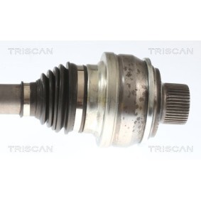 Acquista Guarnizione testata da TRISCAN 501-1901 a buon mercato per soli 83,75 €