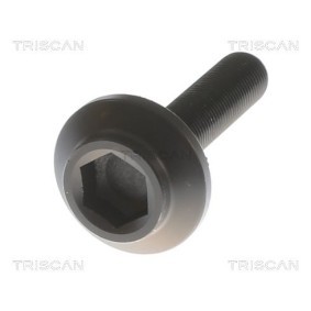 Acquista Guarnizione testata da TRISCAN 501-1902 a buon mercato per soli 82,42 €
