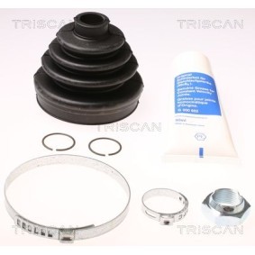Zylinderkopfdichtung 501-2550 von TRISCAN günstig für 42,56 € online kaufen