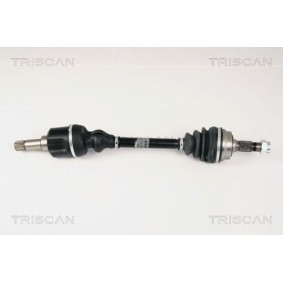 Zylinderkopfdichtung 501-5531 von TRISCAN günstig für 34,66 € online kaufen