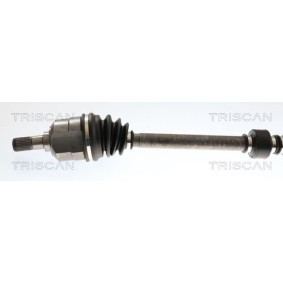 Acquista Guarnizione, Copritestata da TRISCAN 515-4023 a buon mercato per soli 11,81 €