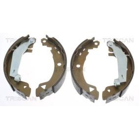Bremsbackensatz 8100 10008 von TRISCAN günstig für 35,78 € online kaufen