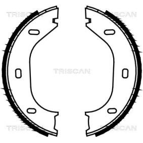 Bremsbackensatz, Feststellbremse 8100 10290 von TRISCAN günstig für 19,71 € online kaufen
