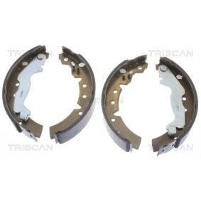 Achetez des Jeu de mâchoires de frein TRISCAN 8100 13031 à prix pour 50,16 €