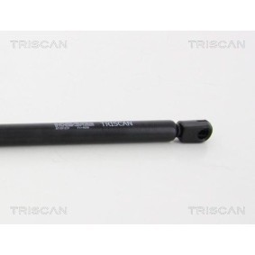 Bremsbackensatz für TOYOTA von TRISCAN
