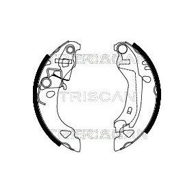Bremsbackensatz 8100 15015 von TRISCAN günstig für 32,63 € online kaufen