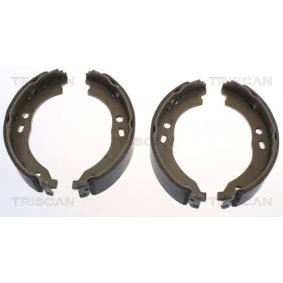 Bremsbackensatz, Feststellbremse 8100 15024 von TRISCAN günstig für 35,08 € online kaufen