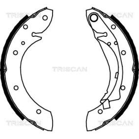 Bremsbackensatz von TRISCAN