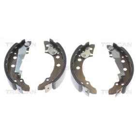 Bremsbackensatz 8100 29001 von TRISCAN günstig für 27,67 € online kaufen