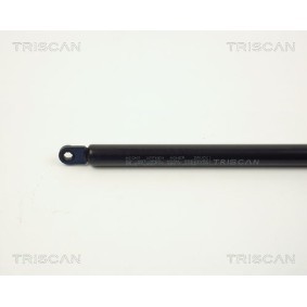 Bremsscheibe von TRISCAN