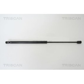 Bremsscheibe von TRISCAN