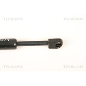Bremsscheibe für BMW von TRISCAN