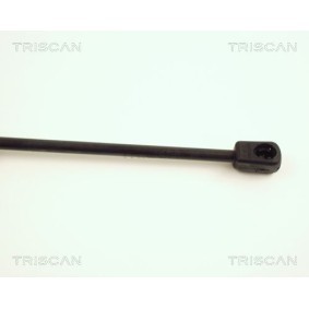 Bremsscheibe für BMW von TRISCAN