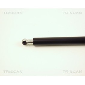 Bremsscheibe für BMW von TRISCAN