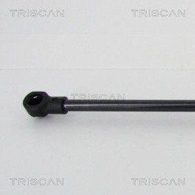Bremsscheibe für BMW von TRISCAN
