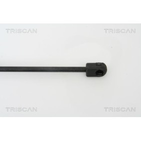 Bremsscheibe von TRISCAN