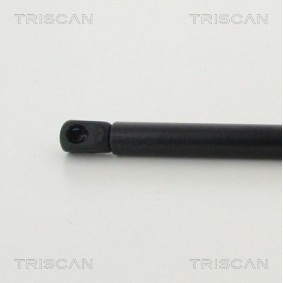 Bremsscheibe von TRISCAN