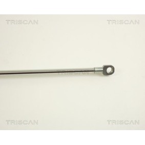 Bremsscheibe von TRISCAN