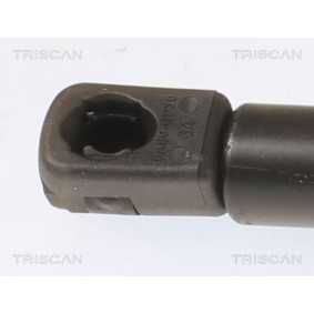 Compre Discos de travão de TRISCAN online para Land Cruiser Veículo todo terreno aberto (FJ40) a preços moderados