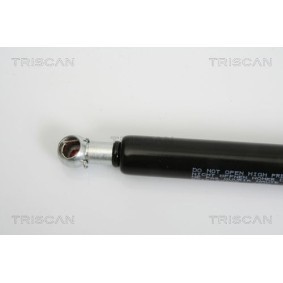 Bremsscheibe von TRISCAN