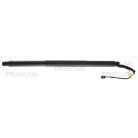 Bremsscheibe 8120 15101 von TRISCAN günstig für 20,14 € online kaufen