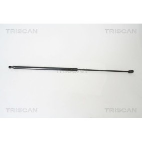 Bremsscheibe von TRISCAN