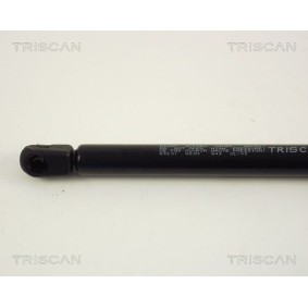 Bremsscheibe von TRISCAN