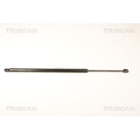 Bremsscheibe 8120 23113 von TRISCAN günstig für 24,21 € online kaufen