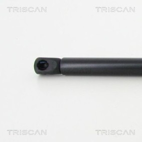 Bremsscheibe 8120 23136 von TRISCAN günstig für 45,32 € online kaufen