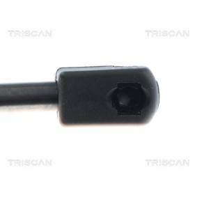 Bremsscheibe 8120 23143 von TRISCAN günstig für 26,68 € online kaufen
