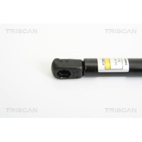 Bremsscheibe 8120 23160C von TRISCAN günstig für 43,06 € online kaufen