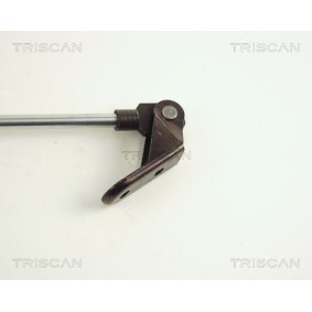 Bremsscheibe von TRISCAN