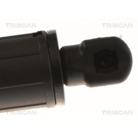 Bremsscheibe von TRISCAN