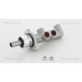 Hauptbremszylinder für CITROËN von TRISCAN