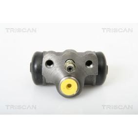 Radbremszylinder für CITROËN von TRISCAN