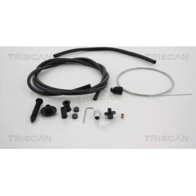 Acquista Cavo acceleratore da TRISCAN 8140 10316 a buon mercato per soli 32,89 €
