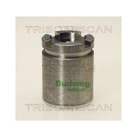 Kolben, Bremssattel 8170 233006 von TRISCAN günstig für 28,55 € online kaufen