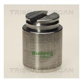 Kolben, Bremssattel 8170 233406 von TRISCAN günstig für 37,26 € online kaufen