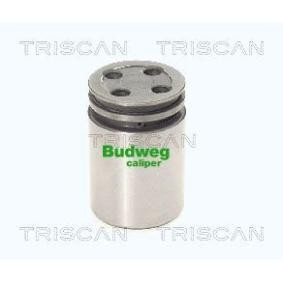 Kolben, Bremssattel 8170 233422 von TRISCAN günstig für 24,21 € online kaufen