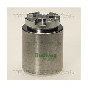 Kolben, Bremssattel 8170 233620 von TRISCAN günstig für 34,30 € online kaufen