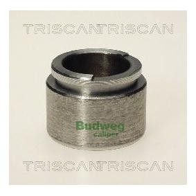 Comprar Émbolo, pinza del freno de TRISCAN 8170 233810 a bajo precio de 11,68 €