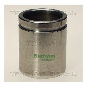 Kolben, Bremssattel 8170 234009 von TRISCAN günstig für 19,40 € online kaufen