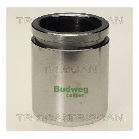 Kolben, Bremssattel 8170 234010 von TRISCAN günstig für 17,99 € online kaufen