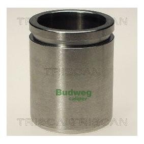 Kolben, Bremssattel 8170 234316 von TRISCAN günstig für 19,64 € online kaufen
