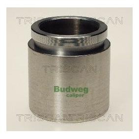 Kolben, Bremssattel 8170 234318 von TRISCAN günstig für 23,22 € online kaufen