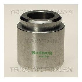 Kolben, Bremssattel 8170 234324 von TRISCAN günstig für 20,79 € online kaufen
