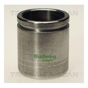 Kolben, Bremssattel 8170 234331 von TRISCAN günstig für 23,17 € online kaufen