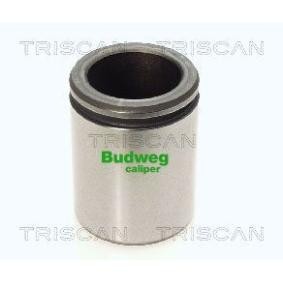 Kolben, Bremssattel 8170 234415 von TRISCAN günstig für 23,67 € online kaufen