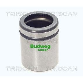 Kolben, Bremssattel 8170 234416 von TRISCAN günstig für 28,51 € online kaufen